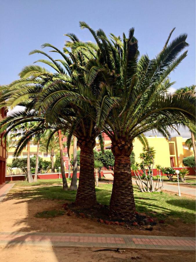 ラ・オリーバFuerteventura - La Caleta, Parques Holandesアパートメント エクステリア 写真